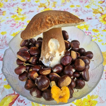 Hostel-Sezanalokev B&B מראה חיצוני תמונה