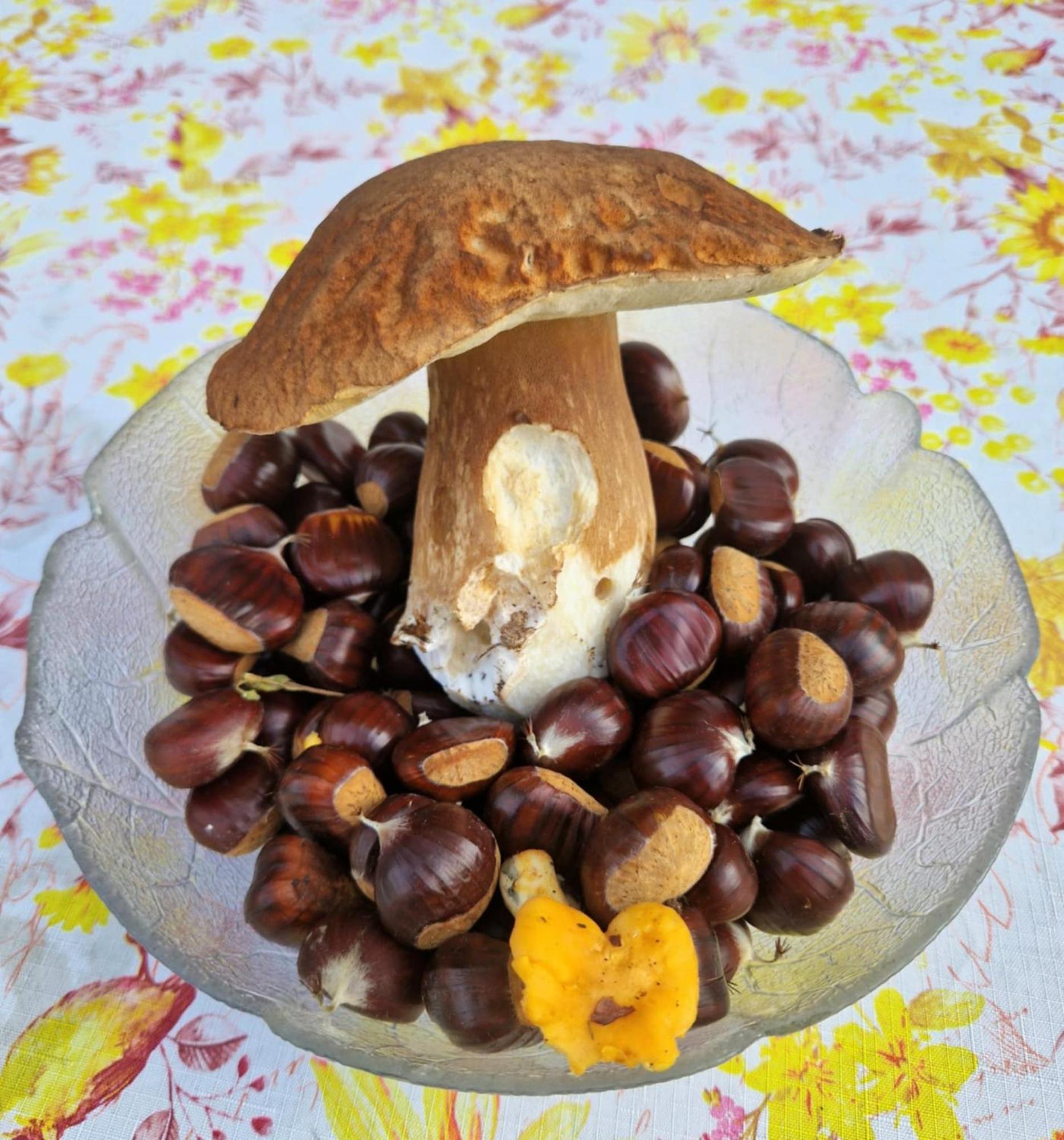 Hostel-Sezanalokev B&B מראה חיצוני תמונה